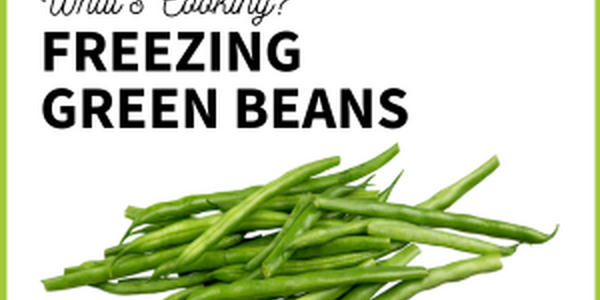 freezing green beans